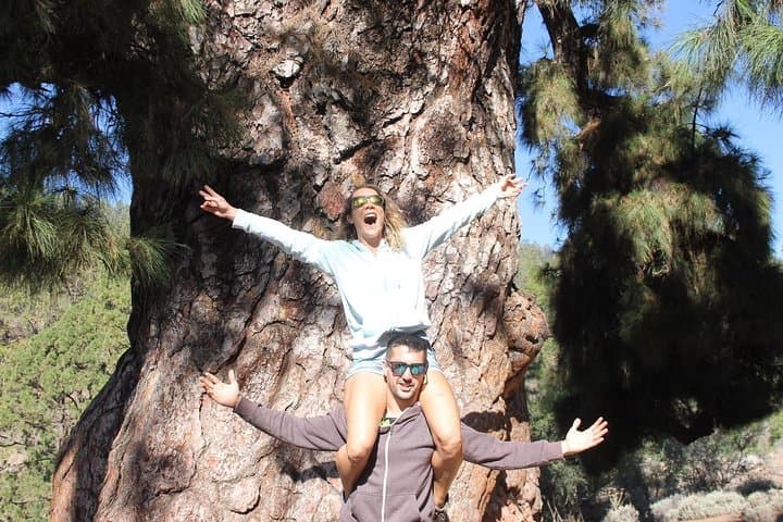 Teide Buggy Tour and Canarian Wine Degustation photo 5