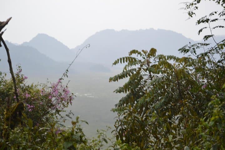 2-Day Nyungwe Chimpanzee Tracking & Canopy Walk Adventure photo 3
