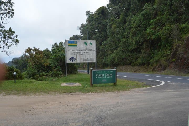 2-Day Nyungwe Chimpanzee Tracking & Canopy Walk Adventure photo 4