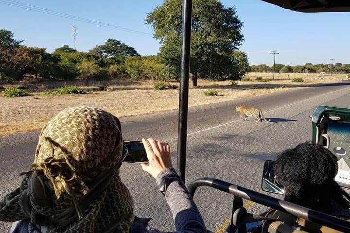 Chobe Day Trip from Livingstone: Full-Day Chobe National Park Safari & River Cruise photo 5