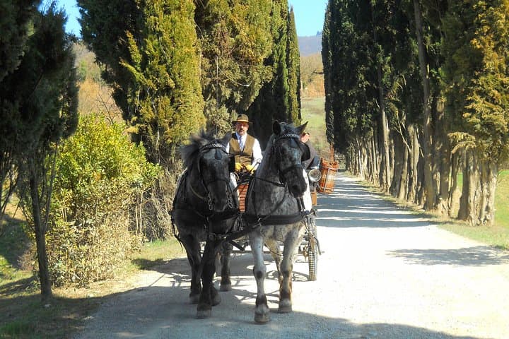 Chianti Carriage Ride and Tuscan Lunch in Greve: Classic Wine Country Experience photo 3
