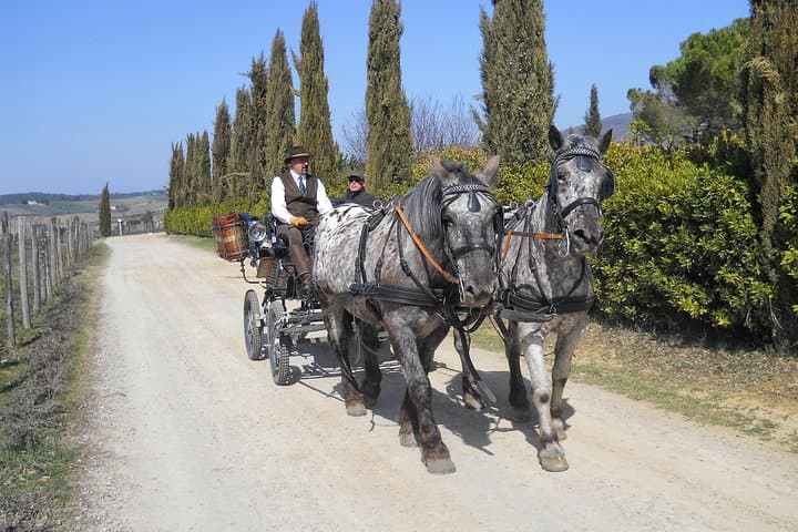 Chianti Carriage Ride and Tuscan Lunch in Greve: Classic Wine Country Experience photo 1