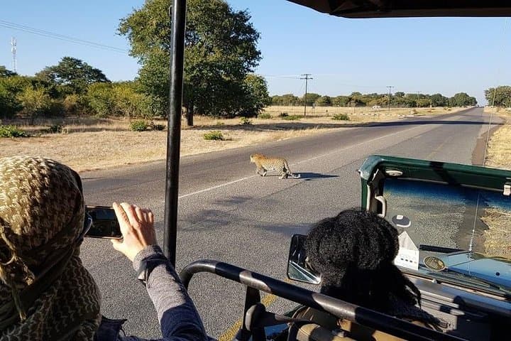 Chobe Day Trip from Victoria Falls: River Cruise and Game Drive in One Day photo 5