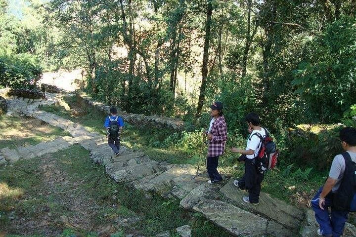 Panchase Hill Trek from Pokhara: 2-Day Sunrise Annapurna Viewpoint photo 4
