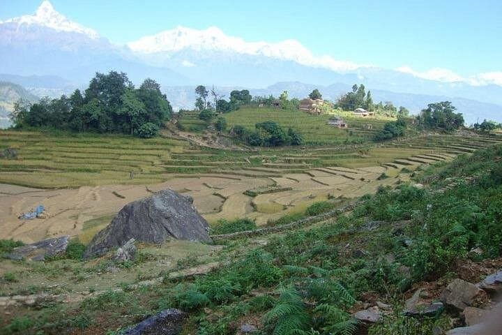 Panchase Hill Trek from Pokhara: 2-Day Sunrise Annapurna Viewpoint photo 6
