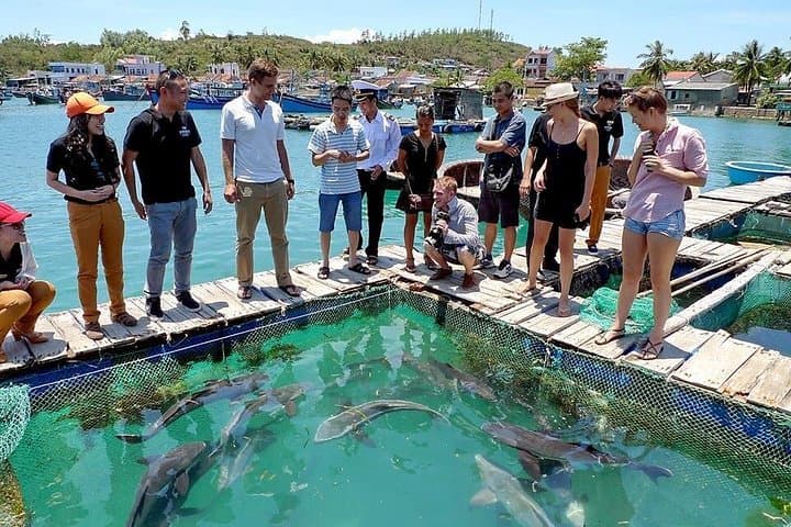Cham Island Snorkeling Private Tour from Hoi An — Speedboat Snorkel & Beach Day photo 2