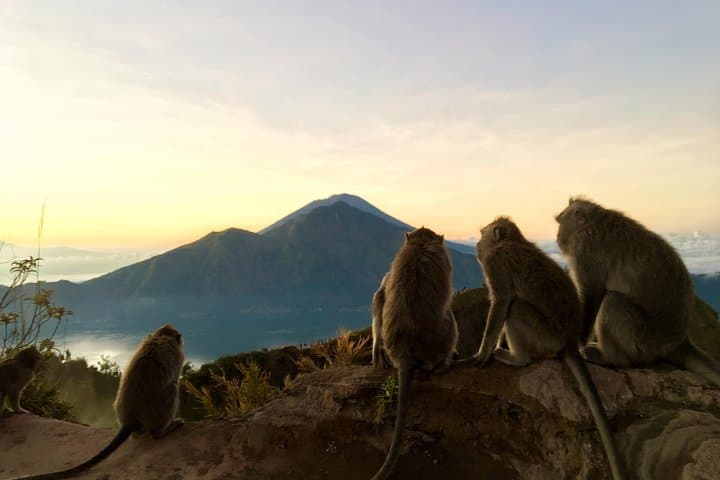 Mount Batur Day Trek and Natural Hot Springs — Sunrise Hike from Ubud photo 3