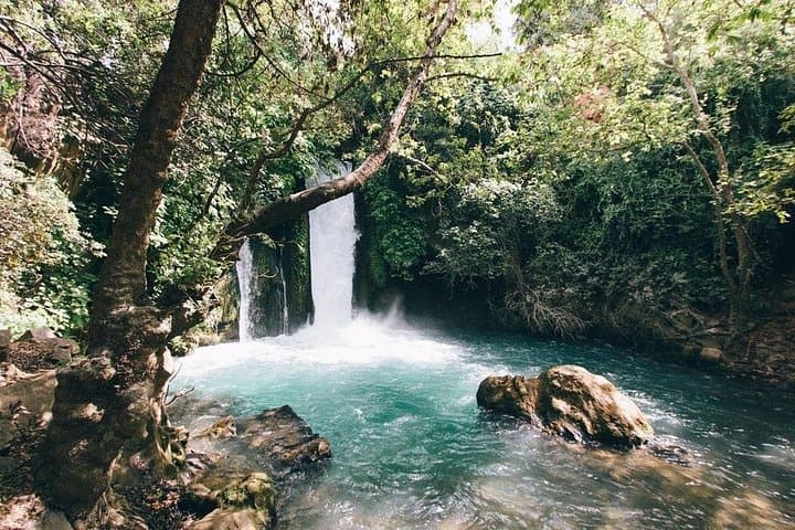 Ein Gedi & Dead Sea Day Trip from Tel Aviv: Bedouin Hospitality, Floating & Oasis Hike