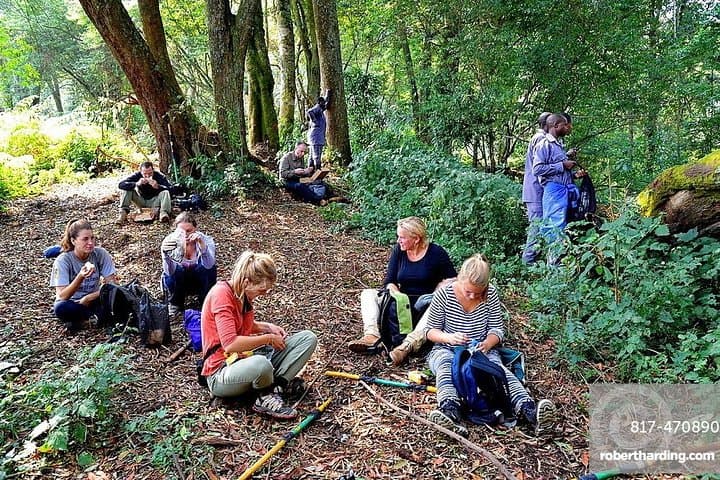 5-Day Safari: Bwindi Gorilla Trekking & Queen Elizabeth Game Drives photo 6