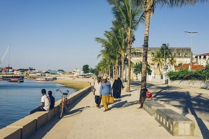 Stone Town Walking Tour: Historic Zanzibar Highlights in 3 Hours photo 3