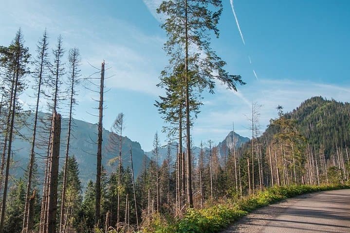 Morskie Oko Day Hike from Krakow – Tatra National Park Guide photo 2