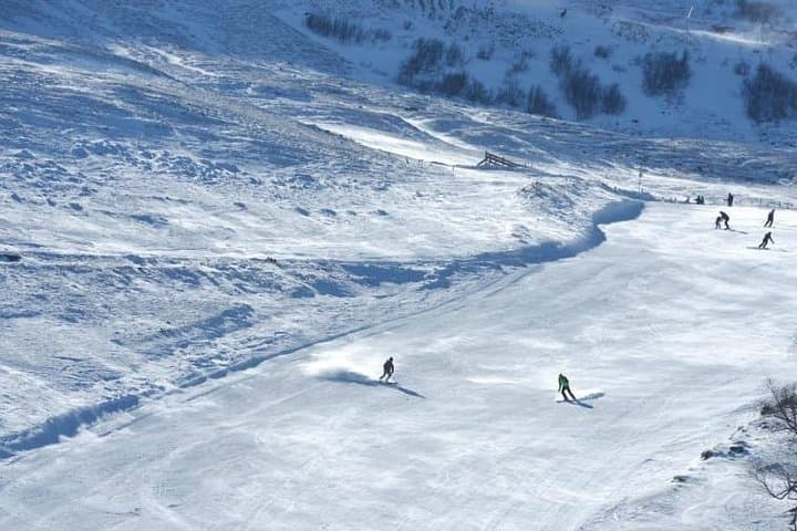 Bakuriani-Borjomi Full-Day Trip: Ski Slopes, Mineral Springs & Mountain Trails photo 3