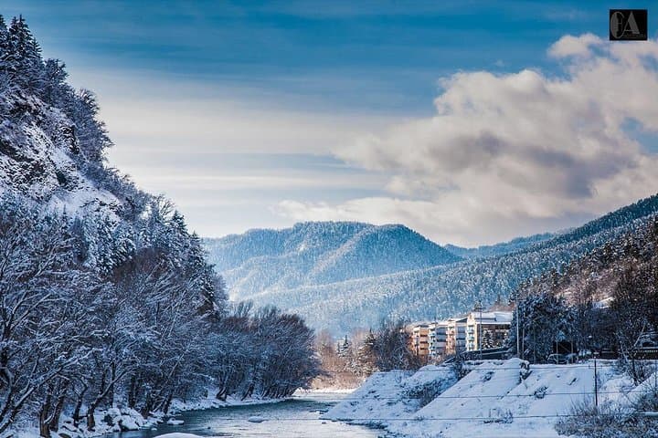 Bakuriani-Borjomi Full-Day Trip: Ski Slopes, Mineral Springs & Mountain Trails photo 4