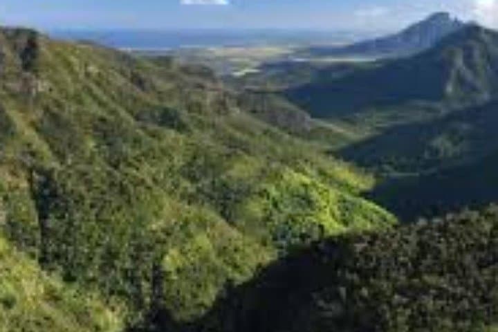 South Mauritius Full-Day Private Tour: Trou aux Cerf, Black River Gorges & Chamarel photo 3