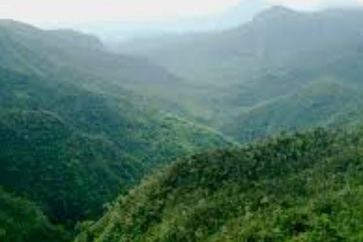 South Mauritius Full-Day Private Tour: Trou aux Cerf, Black River Gorges & Chamarel photo 4