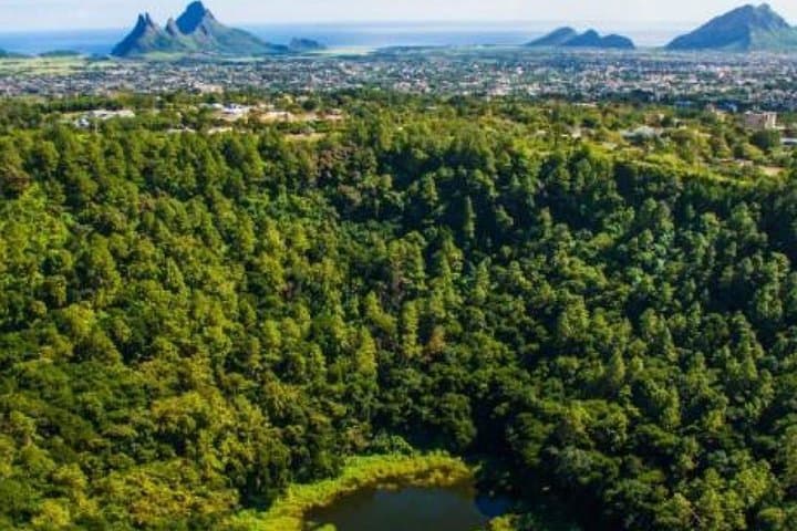 South Mauritius Full-Day Private Tour: Trou aux Cerf, Black River Gorges & Chamarel photo 6