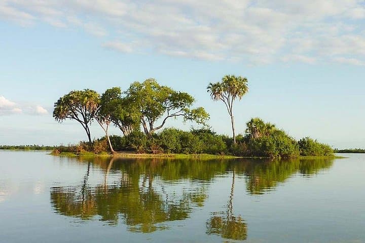 2-Day Selous Game Reserve Safari from Zanzibar or Dar es Salaam photo 5