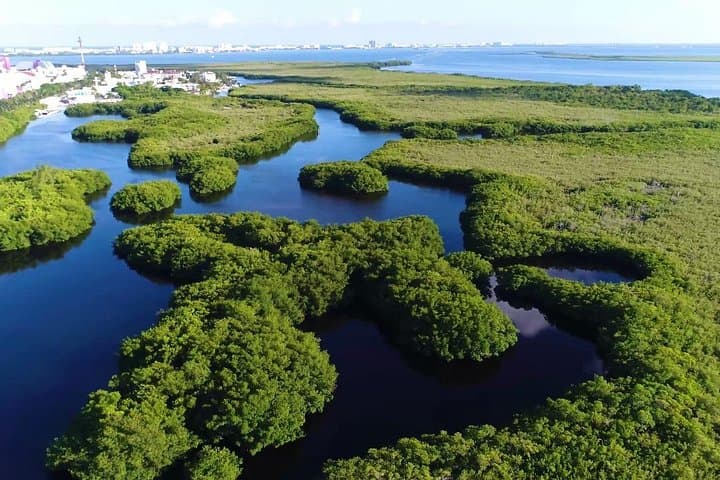 Pilot a Speedboat Through Nichupté Lagoon and Snorkel Punta Nizuc — Cancun Couples Tour photo 2