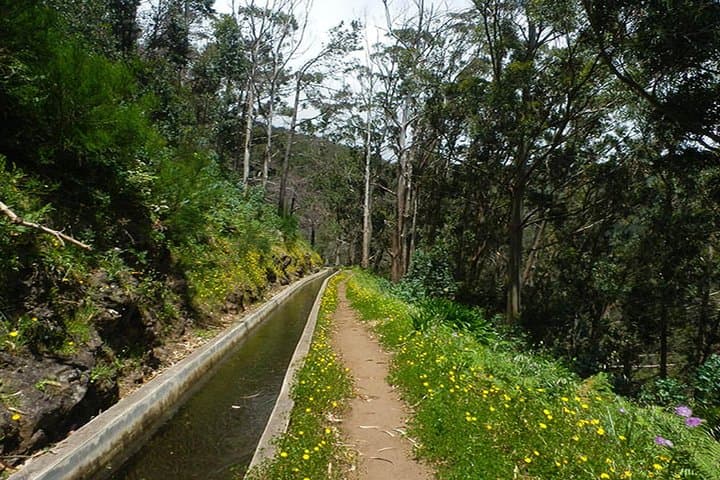 Private Guided Levada Walk: Calheta to Prazeres — Madeira Hiking Tour photo 2