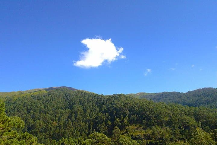 Private Guided Levada Walk: Calheta to Prazeres — Madeira Hiking Tour photo 3