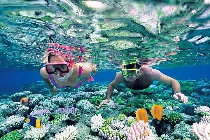 Drive the Nichupté: Mangrove Jungle Tour and Punta Nizuc Snorkel photo 4