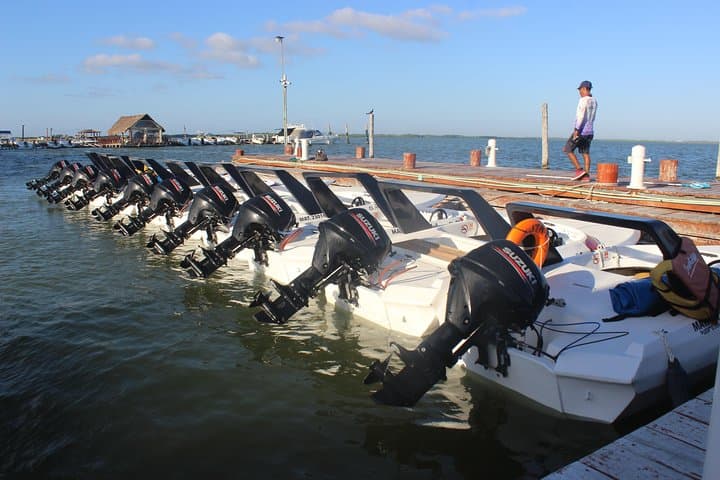 Drive Your Own Speedboat and Snorkel Punta Nizuc Reef in Cancun photo 6