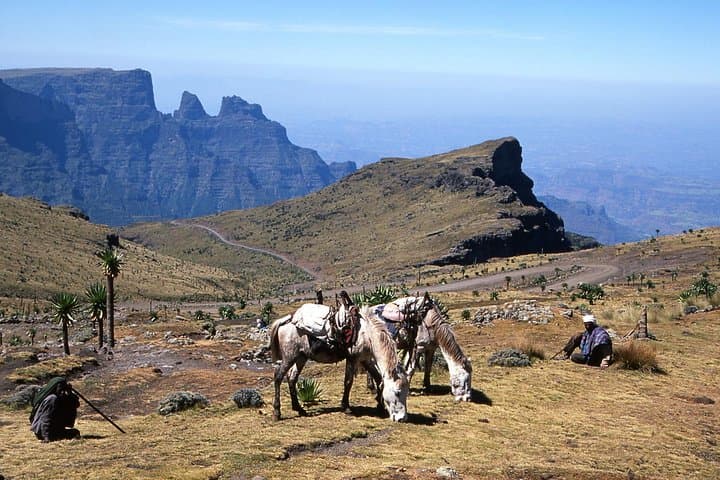Simien Mountains Day Trip from Gondar: Sankaber, Jinbar & Chenek Highlights photo 4