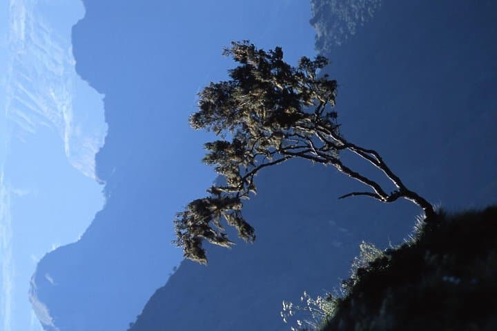 Simien Mountains Day Trip from Gondar: Sankaber, Jinbar & Chenek Highlights photo 5