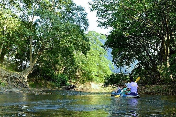 Khao Sok Jungle Safari: Full-Day Trek & River Canoe from Phuket photo 4
