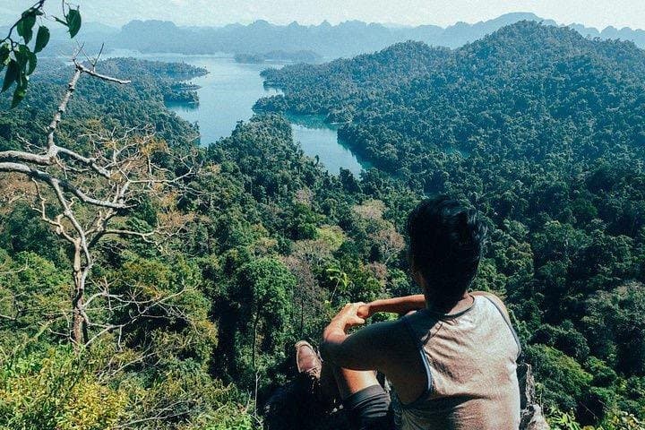 Khao Sok Full-Day Safari from Phuket — Jungle Trek, Canoe & Waterfall Adventure photo 4