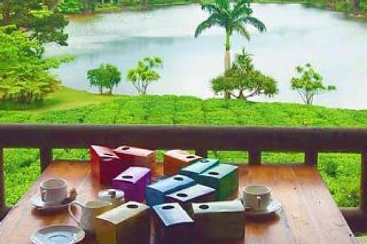Full-Day South Mauritius Tour: Glass Gallery, La Vanille, Bois Chéri & Gris-Gris photo 5