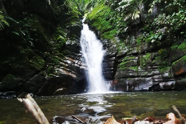 Horseback to Santa Rita Waterfall: Salento’s River Paths and Natural Pools