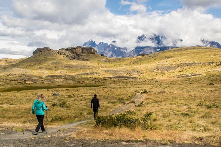 Ancestral Trail: Patagonian Steppe Wildlife & Ancient Rock Paintings