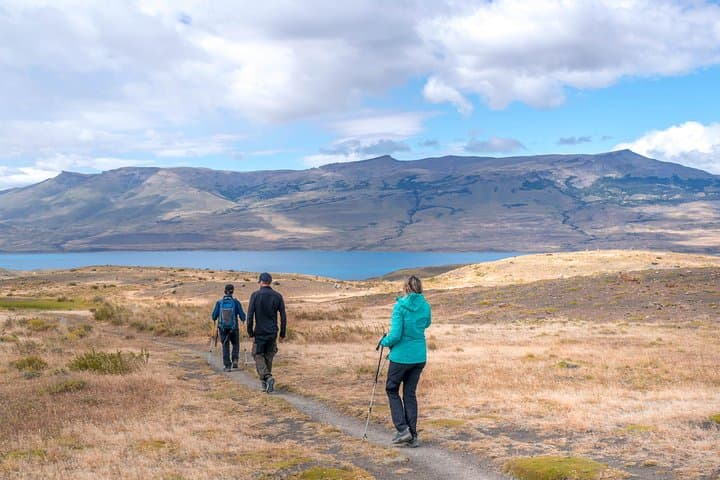 Ancestral Trail: Patagonian Steppe Wildlife & Ancient Rock Paintings photo 3