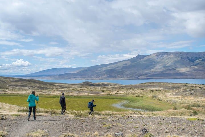 Ancestral Trail: Patagonian Steppe Wildlife & Ancient Rock Paintings photo 5