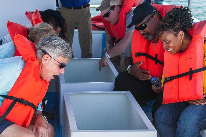 Cabo San Lucas Boat Tour: Glass-Bottom Arch Cruise & Tequila Tasting photo 3