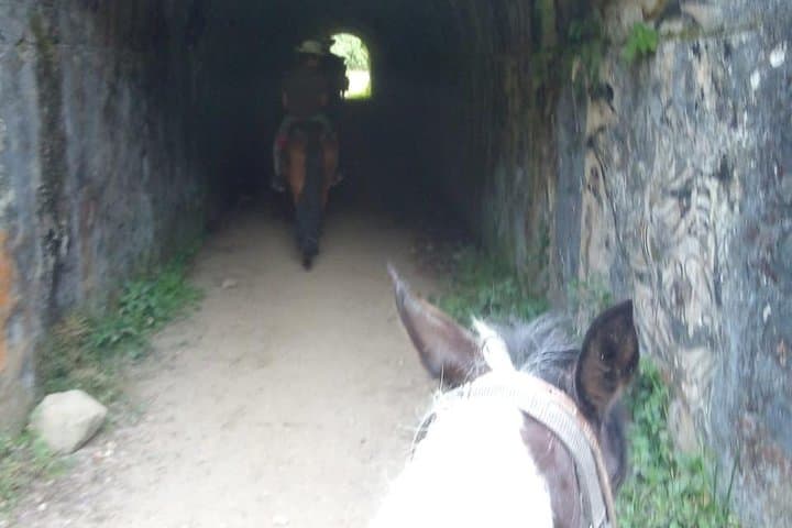 Horseback to Santa Rita Waterfall: Salento’s River Paths and Natural Pools photo 3