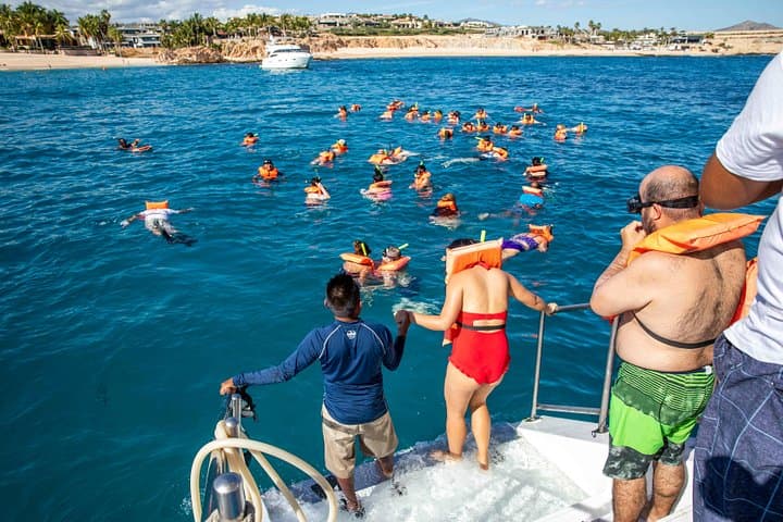 Cabo Snorkel Catamaran and City Shopping Combo at Chileno Bay