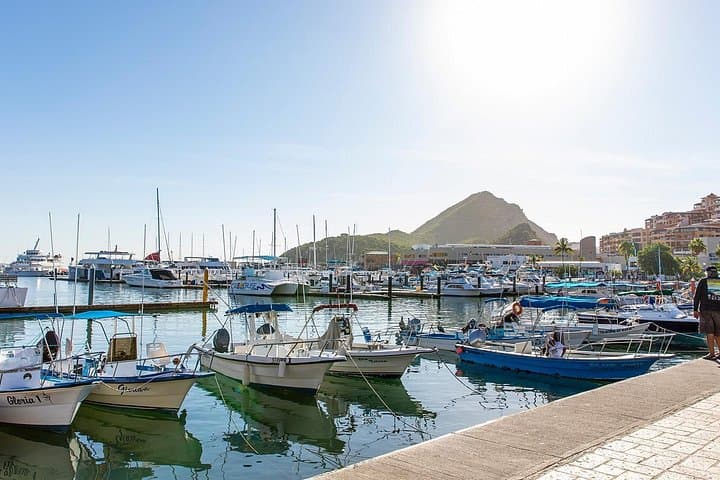 Cabo San Lucas City Tour: Arch Cruise, Sea Lions & Tequila Tasting photo 2