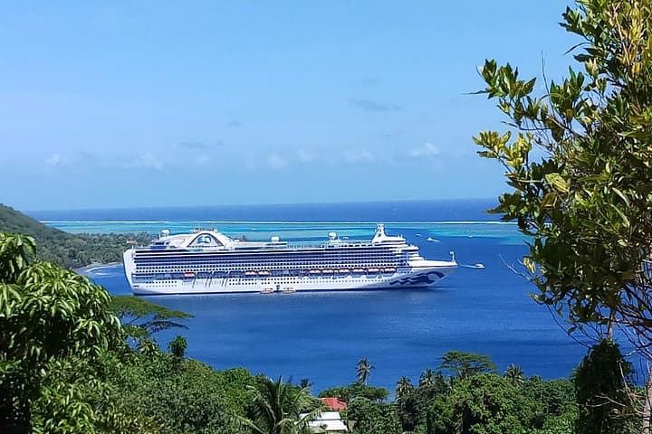 Moorea Blue Pearl Private Tour — Belvedere, Bays & Local Shopping photo 4