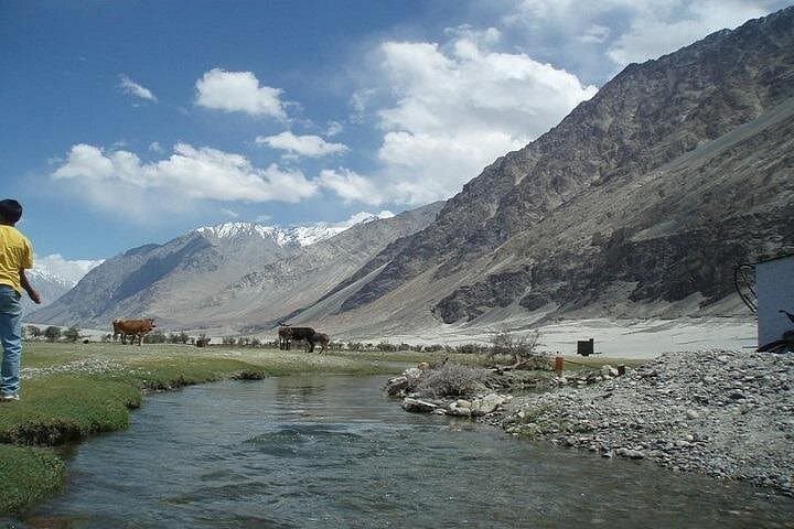 Leh Ladakh: 7-Day High-Altitude Scenic & Cultural Tour photo 4