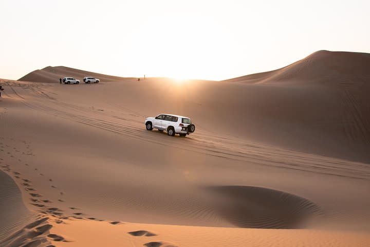 Premium Abu Dhabi Desert Safari: Dune Bashing & Lunch under the Ghaf Tree