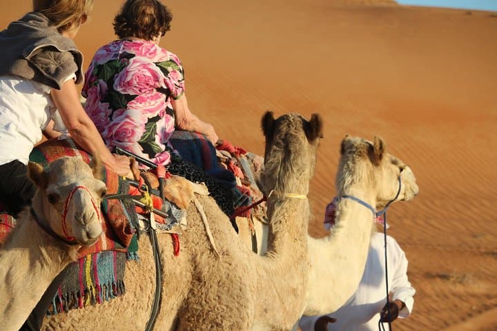 Wahiba Sands Safari: Wadi Bani Khalid Swim & Camel Ride from Muscat photo 2
