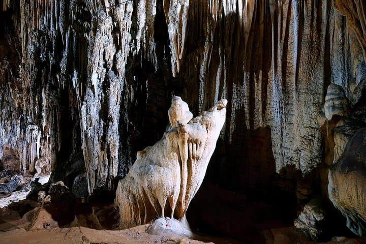 Tam Coc & Hoa Lu Day Tour: Boat Caves, Rice Paddies, and Mua Cave Views photo 5
