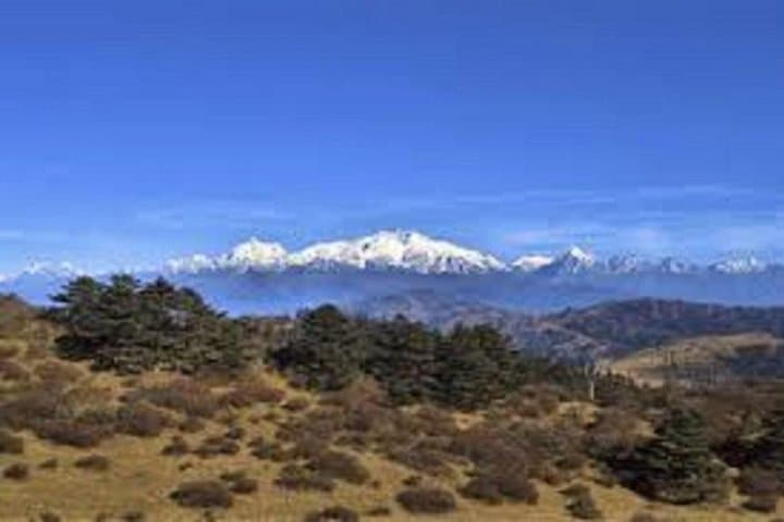 Samdakphu View Trek: 9-Day Homestay to Sandakphu and Kangchenjunga Views photo 5