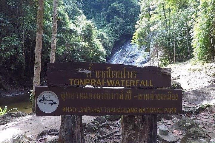 Khao Sok Full-Day Safari from Phuket — Jungle Trek, Canoe & Waterfall Adventure