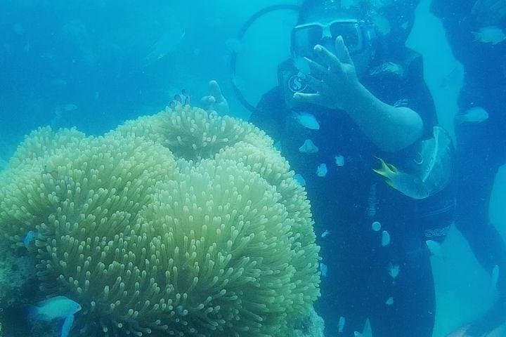 Introductory Shore Scuba Dive at Havelock Islands: First-Timer’s Guide photo 3