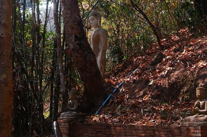 Doi Suthep & Wat Pha Lat Monk Trail: Chiang Mai Temple Day Tour photo 3