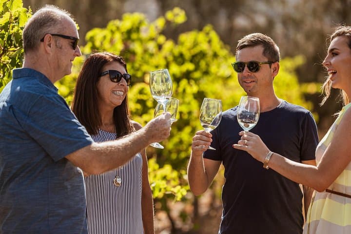 Swan Valley Half-Day Wine Tour from Perth: Small-Group Boutique Cellar Doors