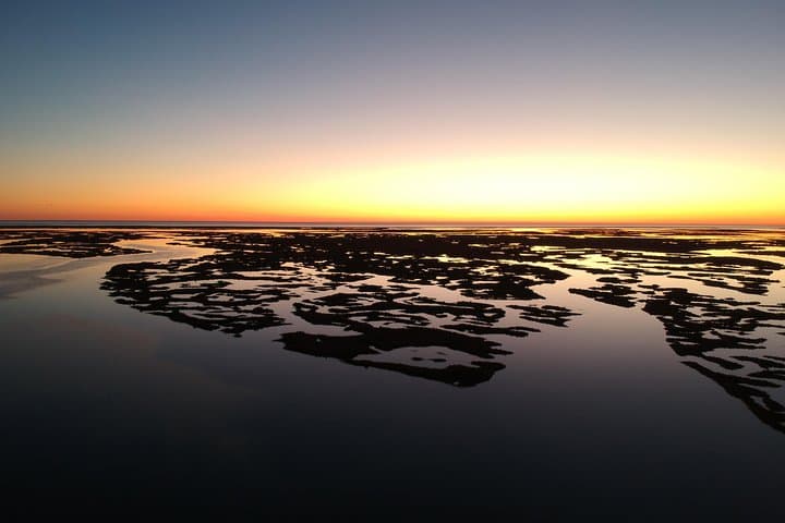 Sunset Boat Tour to Ilha Deserta in Ria Formosa (Faro) photo 4